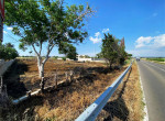 Terreno agricolo a Melissano